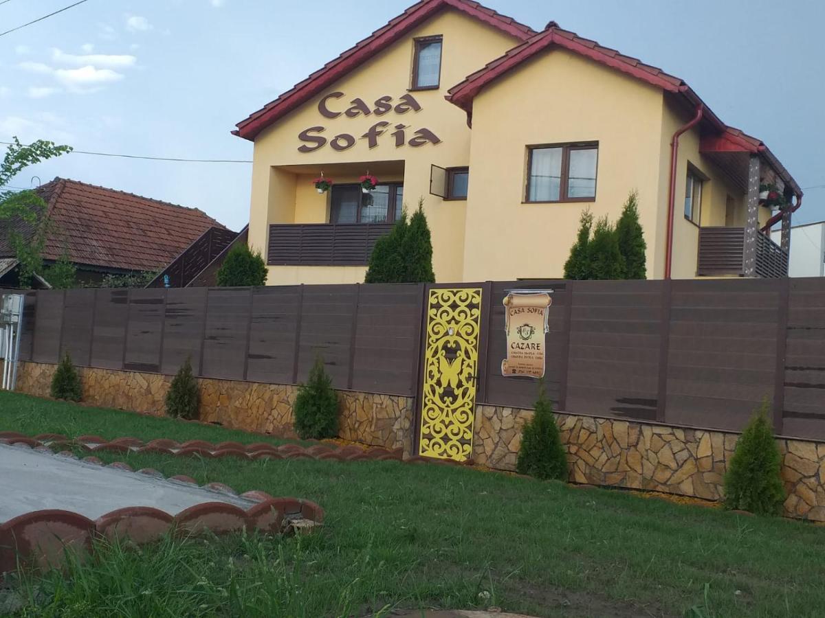 Casa Sofia Hotel Targu Jiu Exterior photo